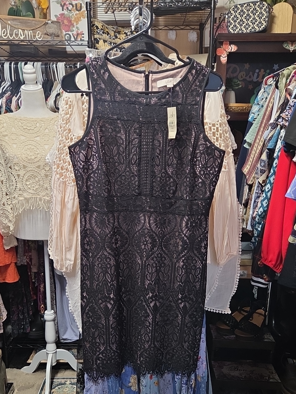 New LOFT BLACK LACE DRESS WOMENS 10P